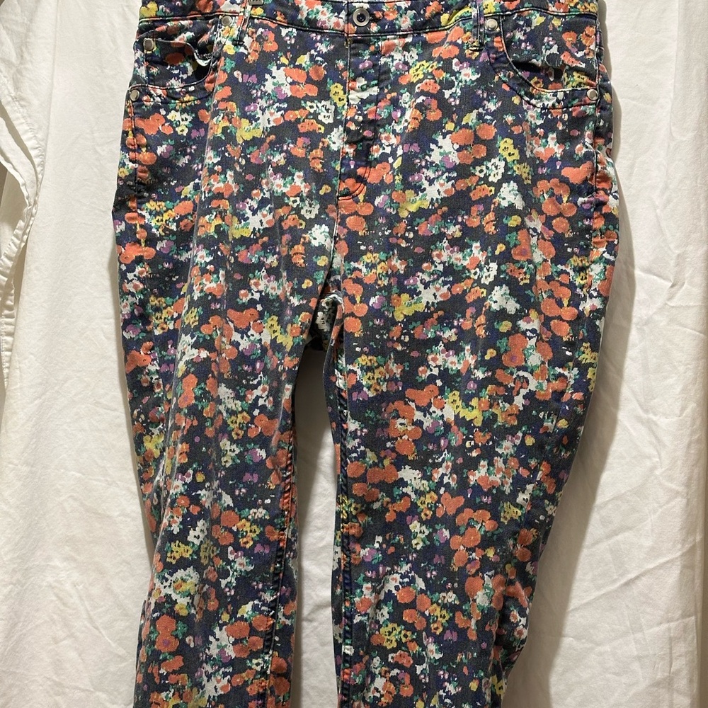 Anthropology Meave flower power jeans 20w